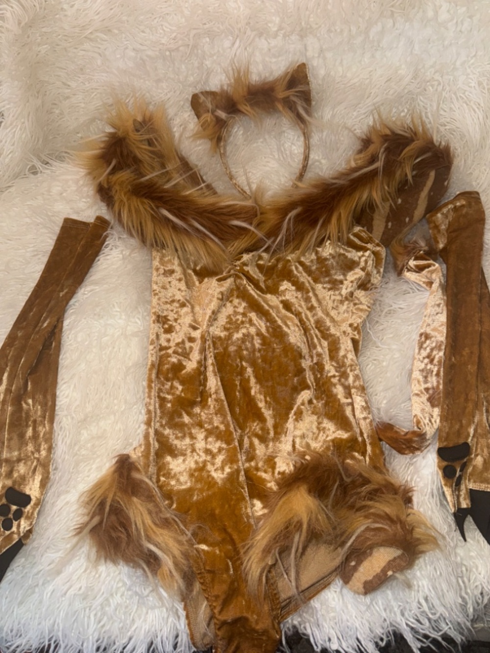 Lions den fashionova costume brand new 3 pieces - Picture 2 of 3